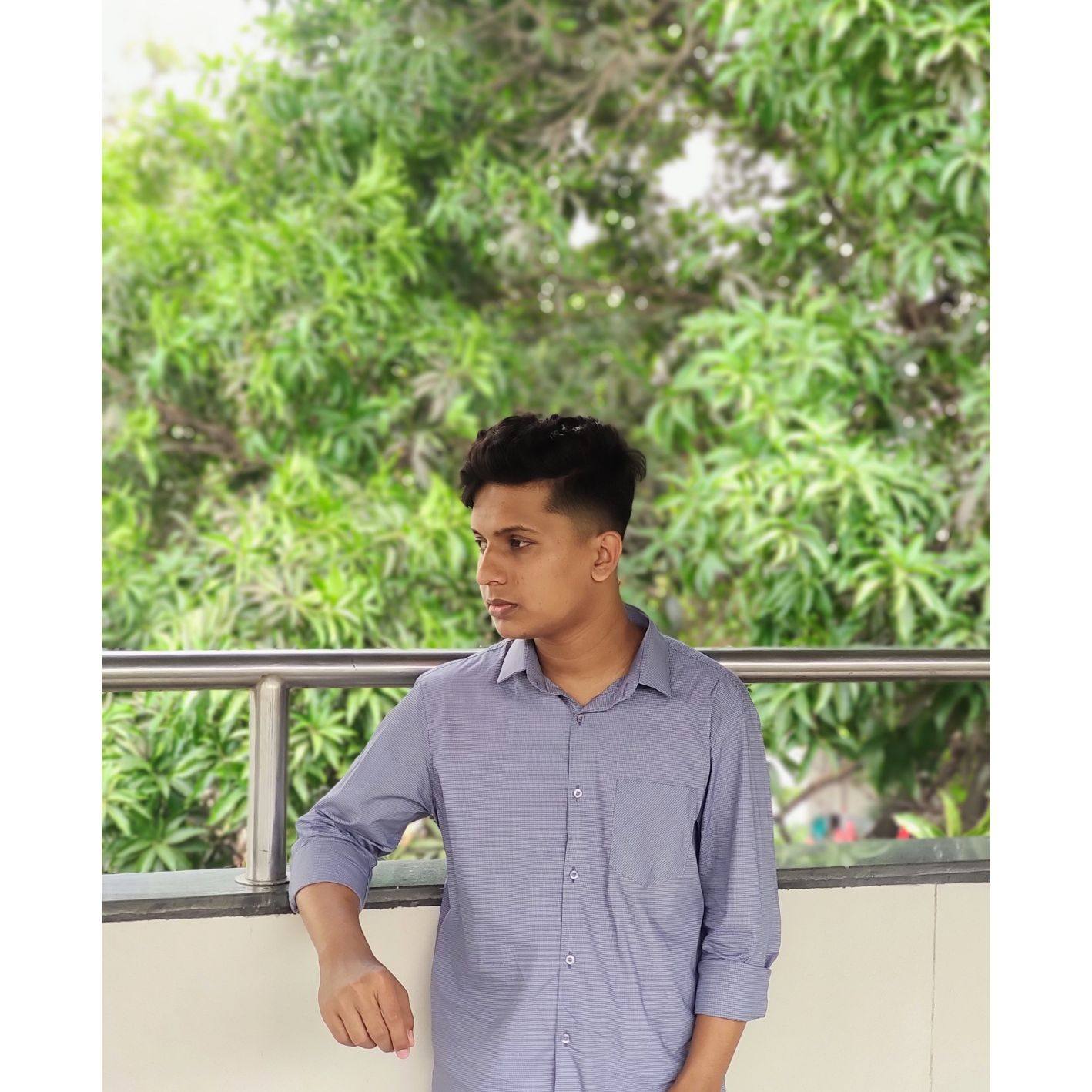 Developer